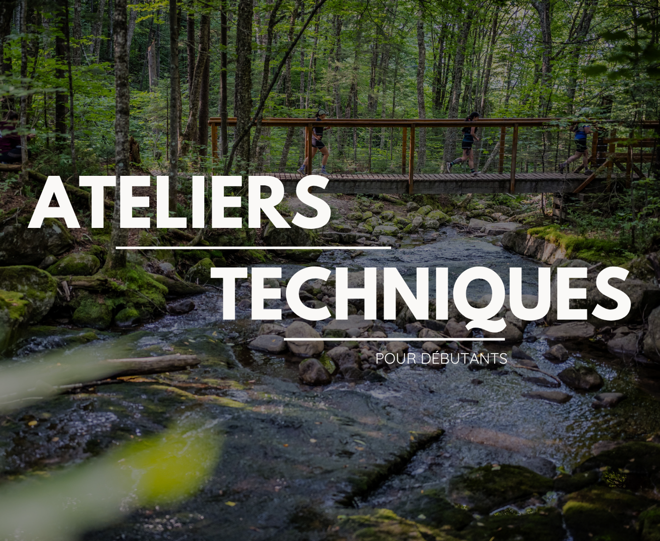 Ateliers techniques pour débutants